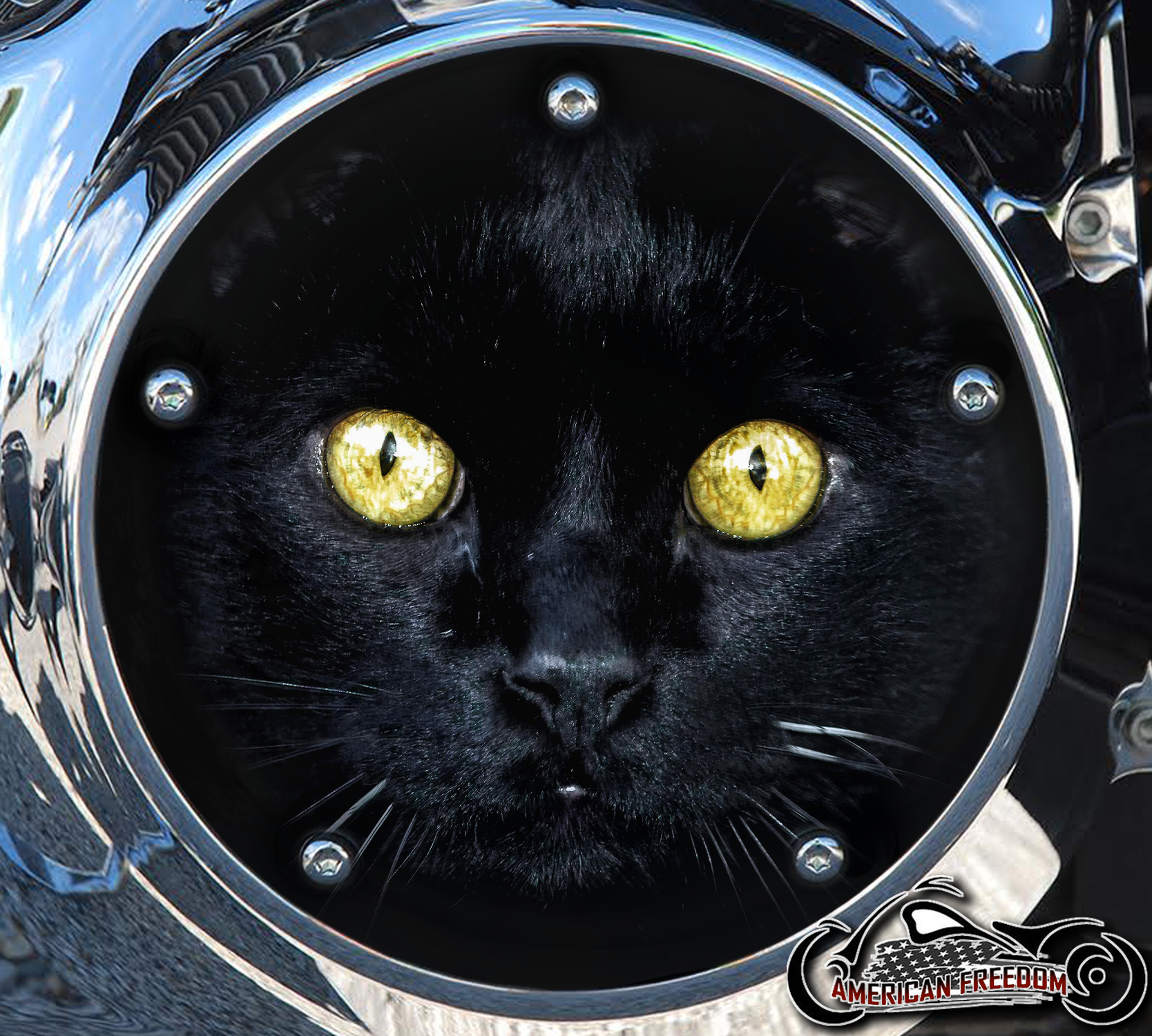Custom Derby Cover - Black Cat Eyes